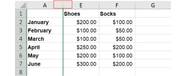 How To Find Hidden Columns In Excel Wright Througue