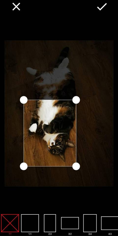 The 5 Best Android Apps to Reduce Image Size