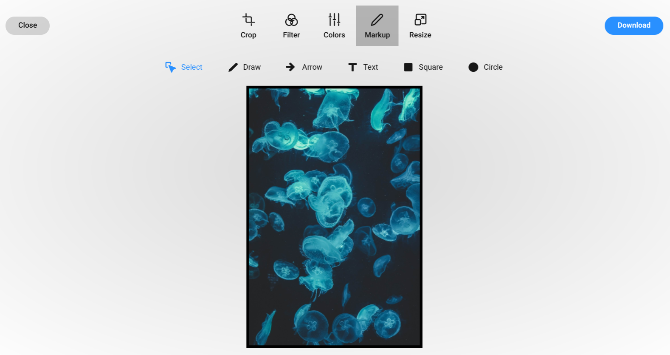 Doka Photo is an easy, free, and fast online image editor to use in browsers