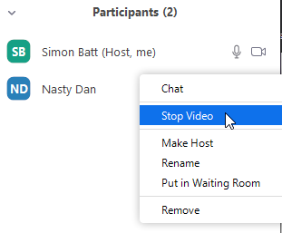Stopping someone's video in Zoom