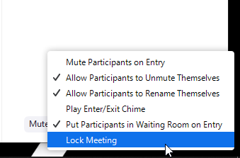 Locking a meeting in Zoom