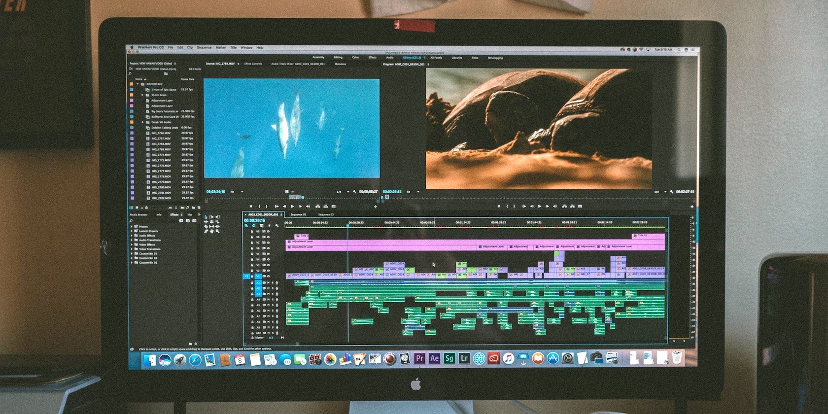 can premiere pro apple and pc share files