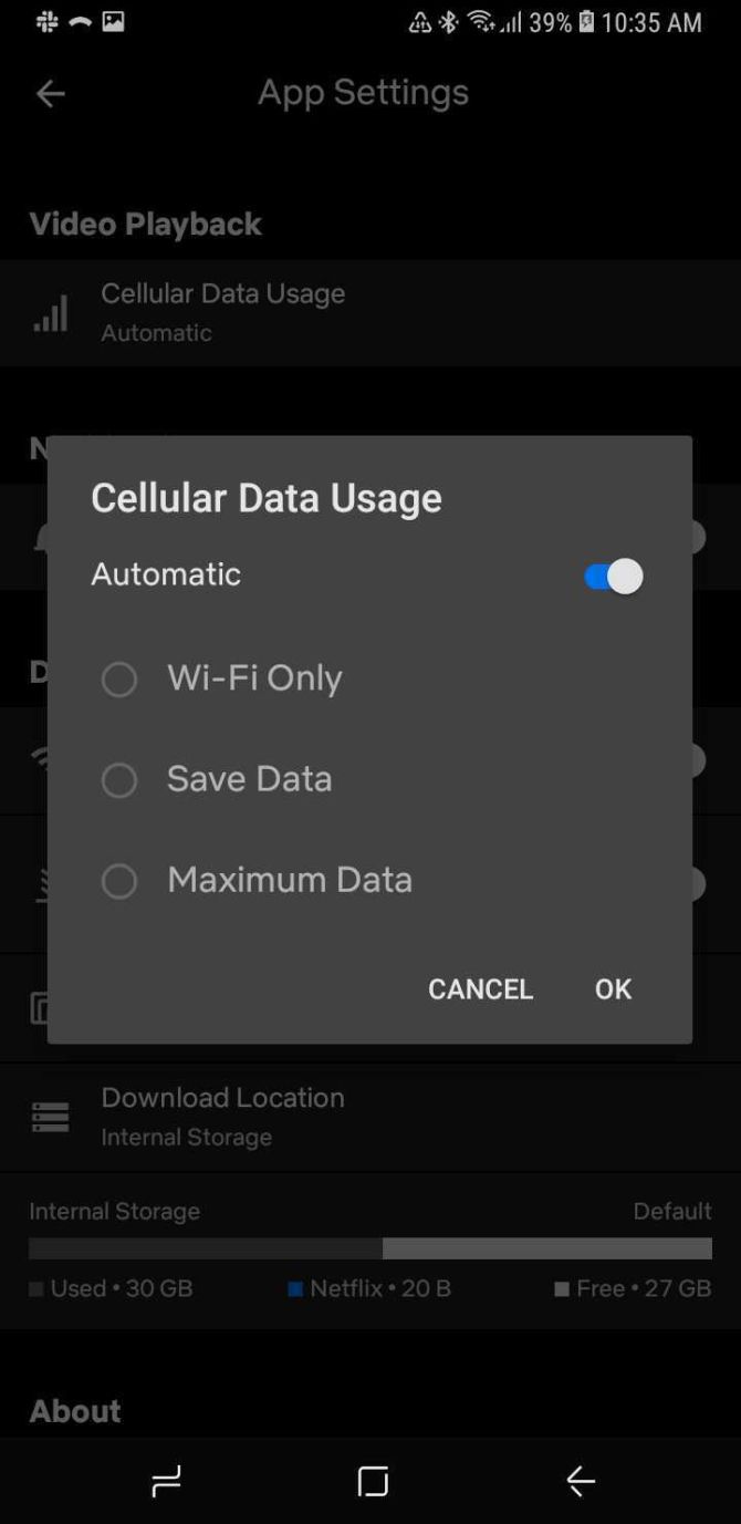 Netflix cellular data usage
