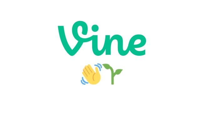 Watch Old Vines Vine Website