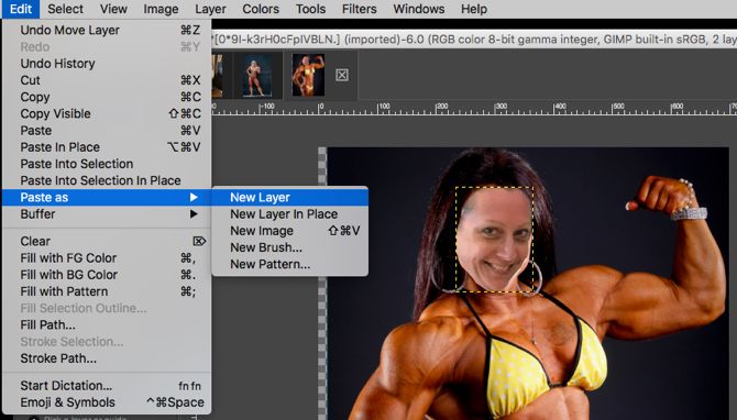 GIMP Paste Face As New Layer