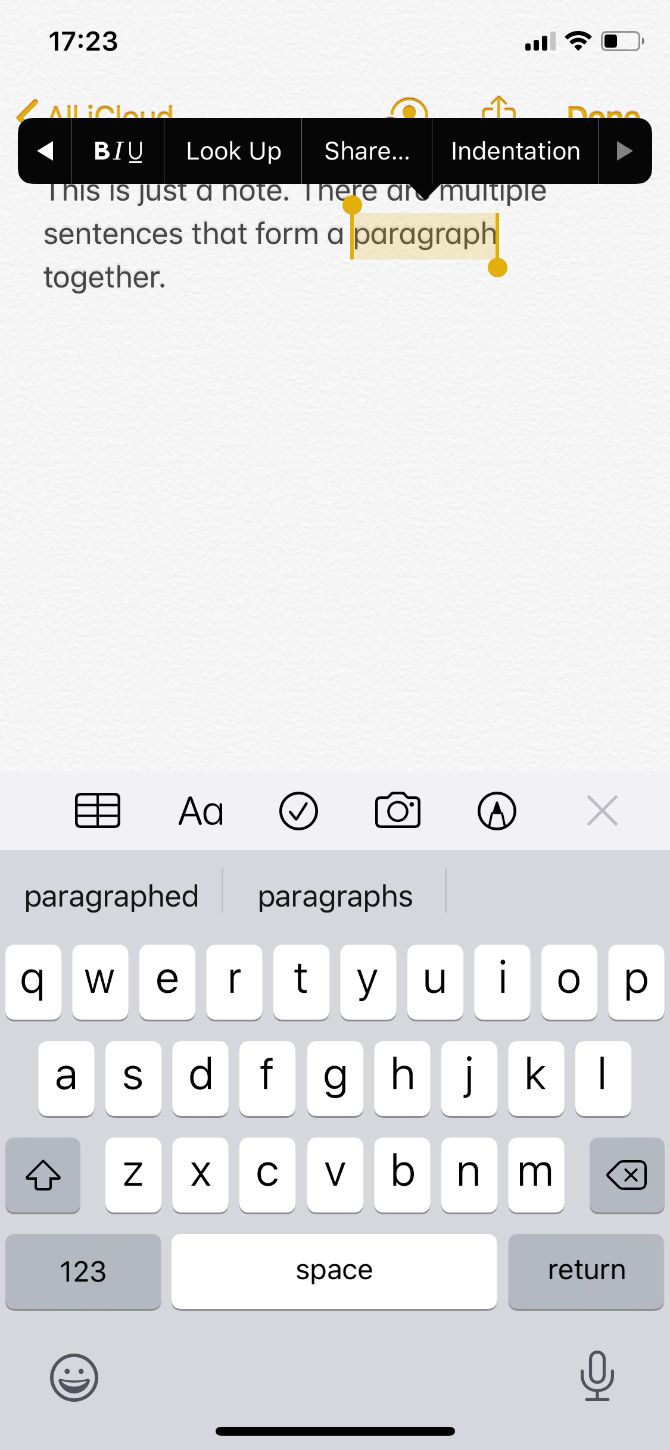 Look Up option from selected word on iPhone