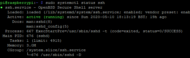 Check the status to confirm SSH is set up correctly