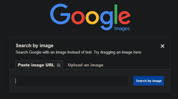 Google Reverse Image Search Home