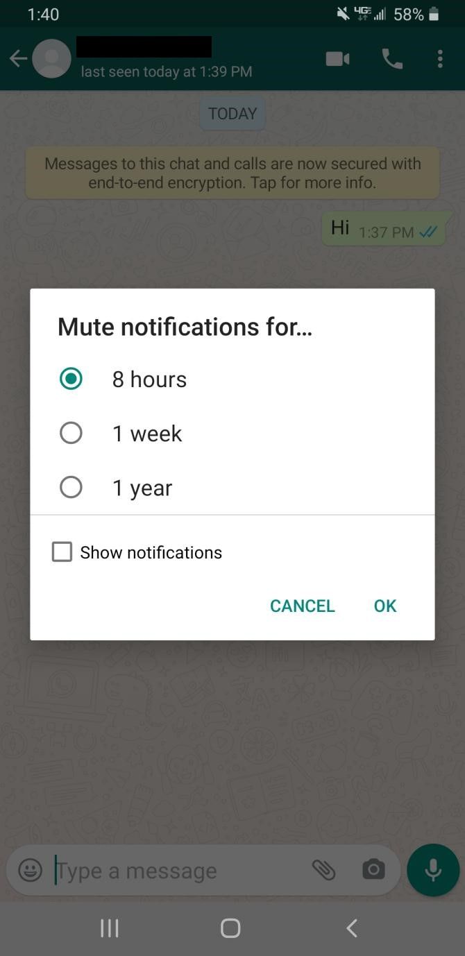 Mute Chat Options WhatsApp