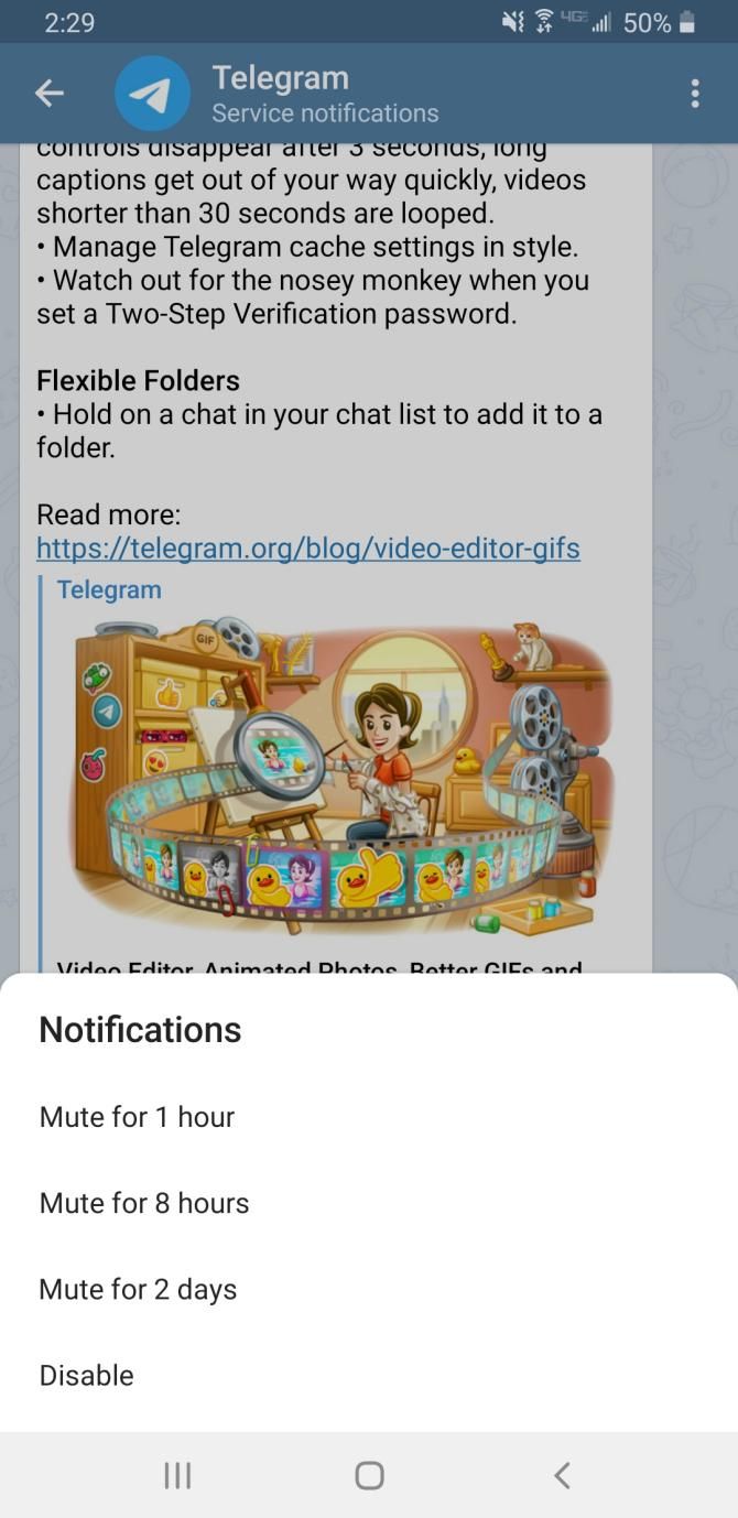 Telegram Chat Options