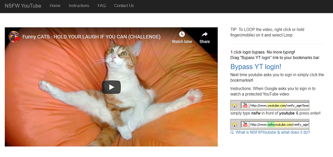 Funny Cat  Videos: You Really Should Be Watching More of Them