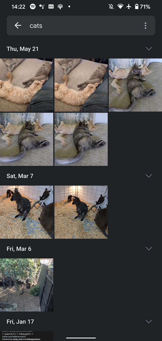 Google Assistant Show Photos