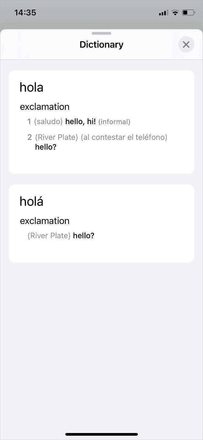Apple Translate foreign language dictionary