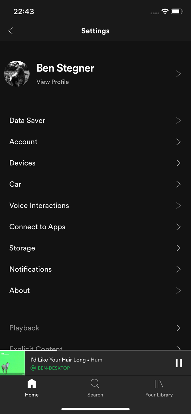 Spotify Mobile Options