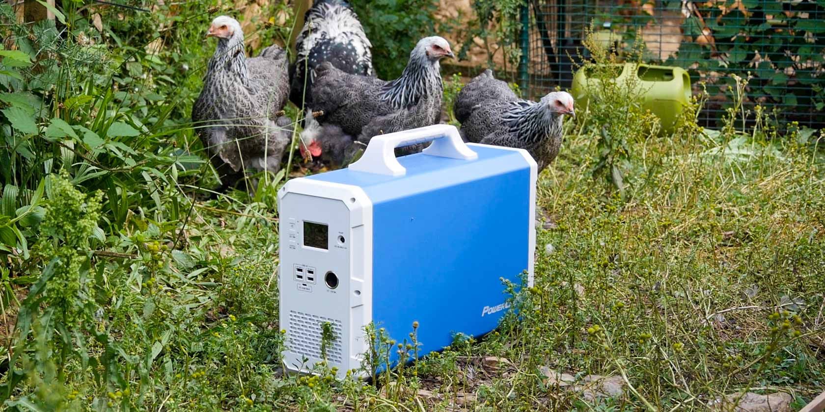 maxoak eb240 featured outside with the chickens
