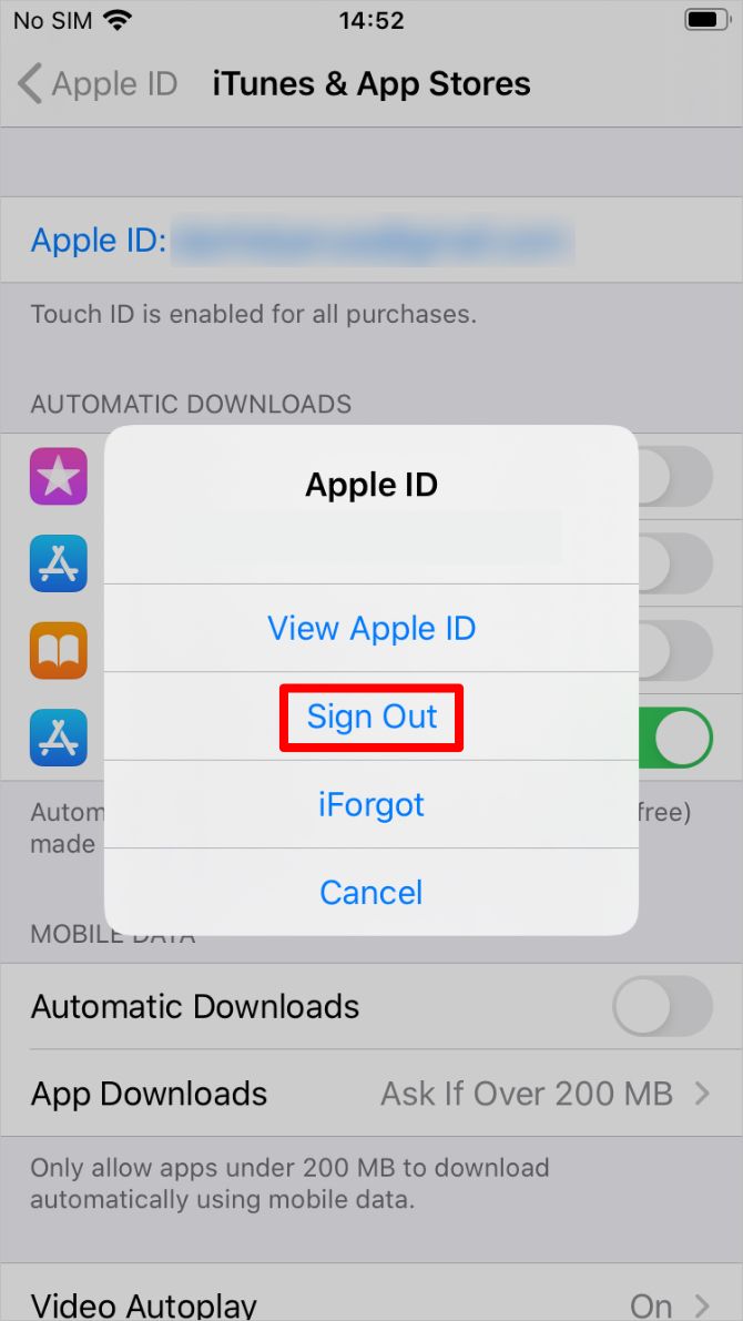 iTunes & App Store settings with Sign Out option