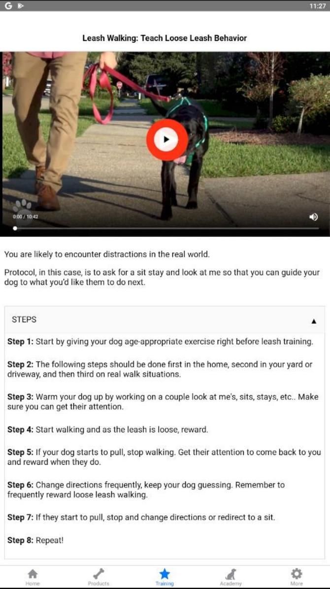 Pupford Dog Training Video