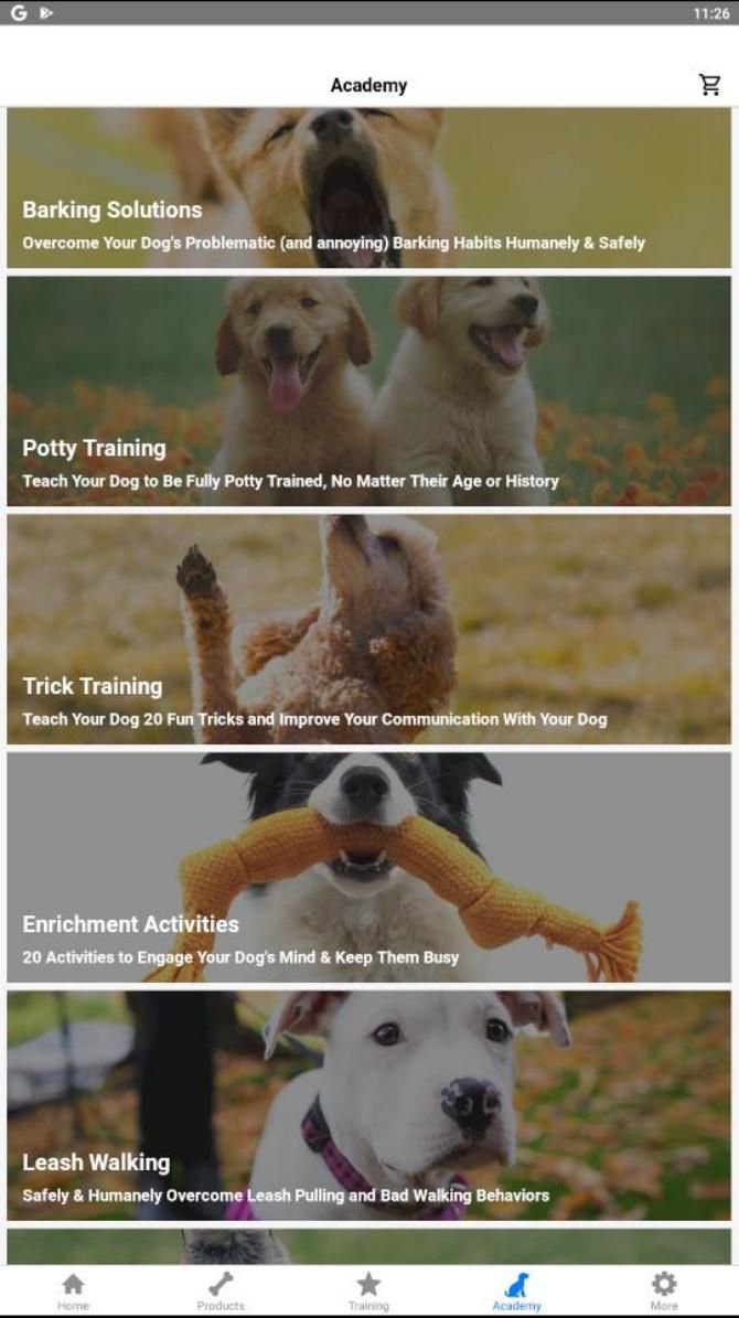 Pupford Dog Training Lessons