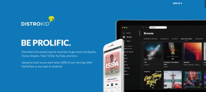 DistroKid music distribution header