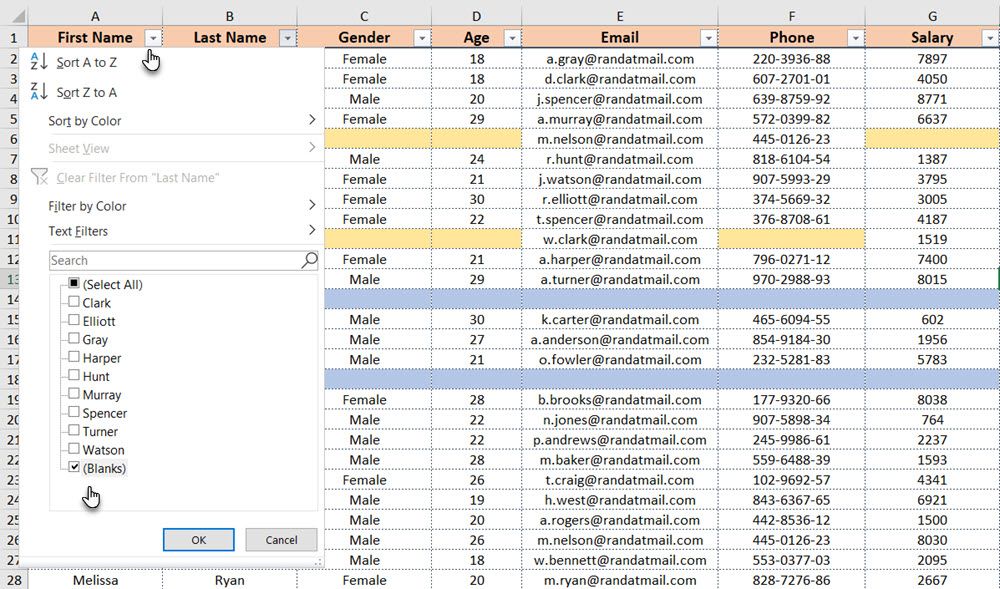 Using the filter to select blank cells in Excel