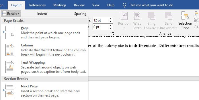 word for mac now showing page numbers