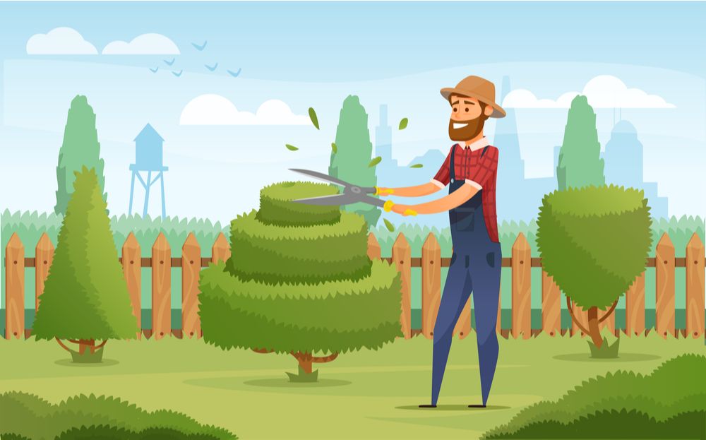 Gardening How To Websites