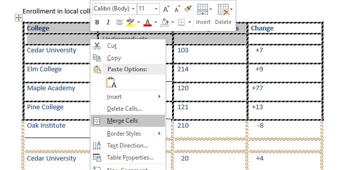 Table cell Border Double Line MS Word