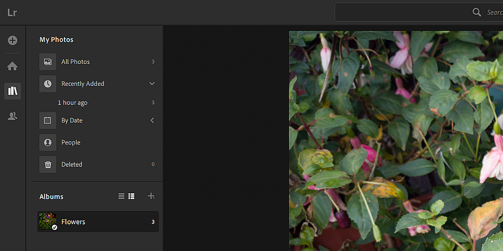menu tùy chọn tệp hình ảnh lightroom