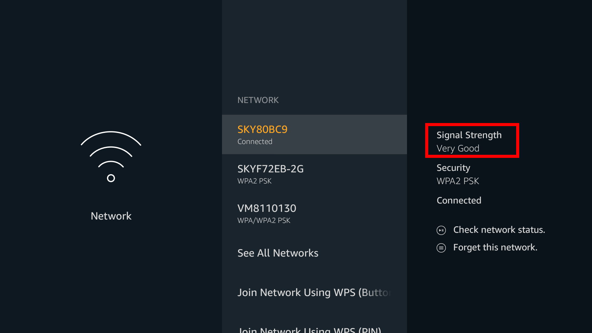 fire stick check network connection