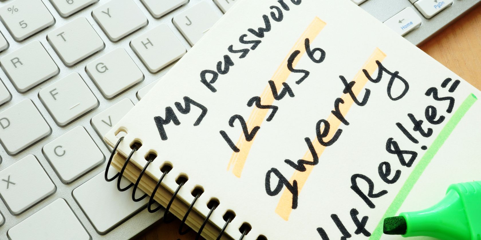 passwords written in a diary