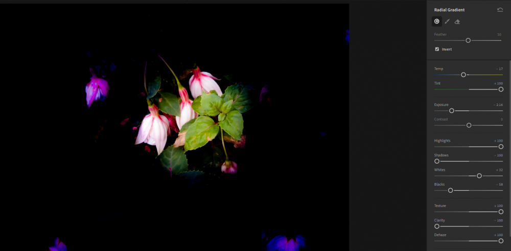 Công cụ chuyển màu Lightroom