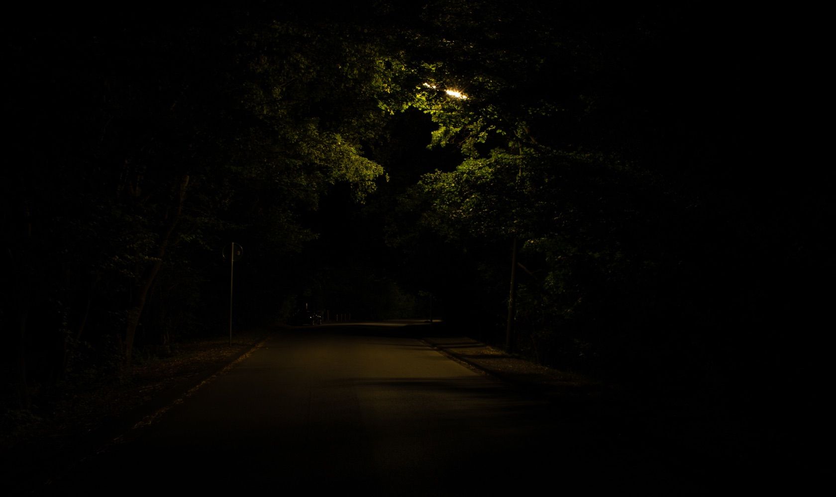 Dark road lined with trees at night