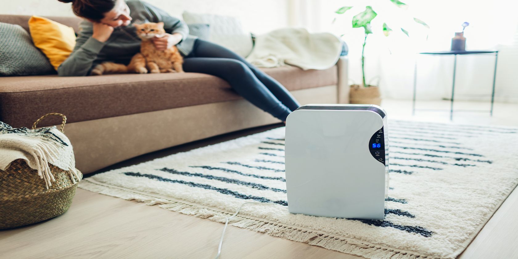 Dehumidifier in a living room