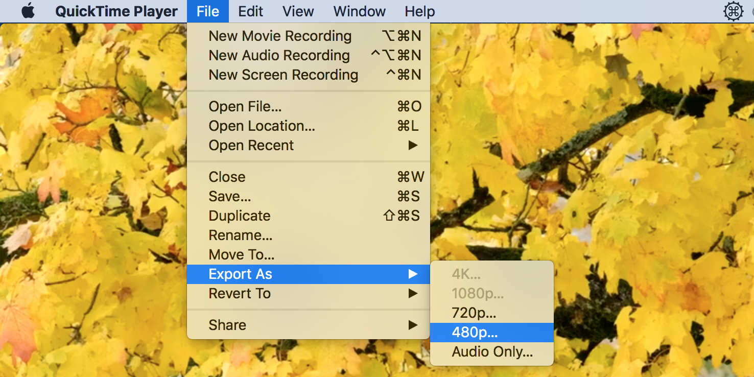 Reduce the video size with QuickTime Player