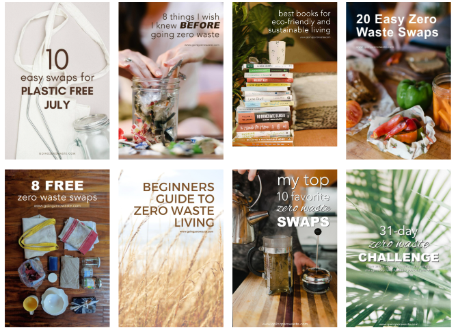 Going Zero Waste has a list of helpful posts for beginners in the Zero Waste movement