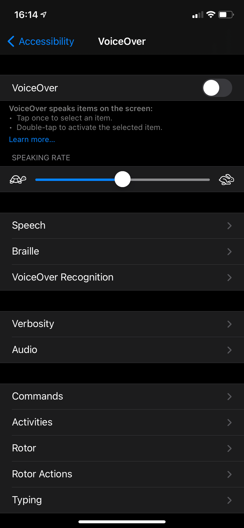 iPhone VoiceOver