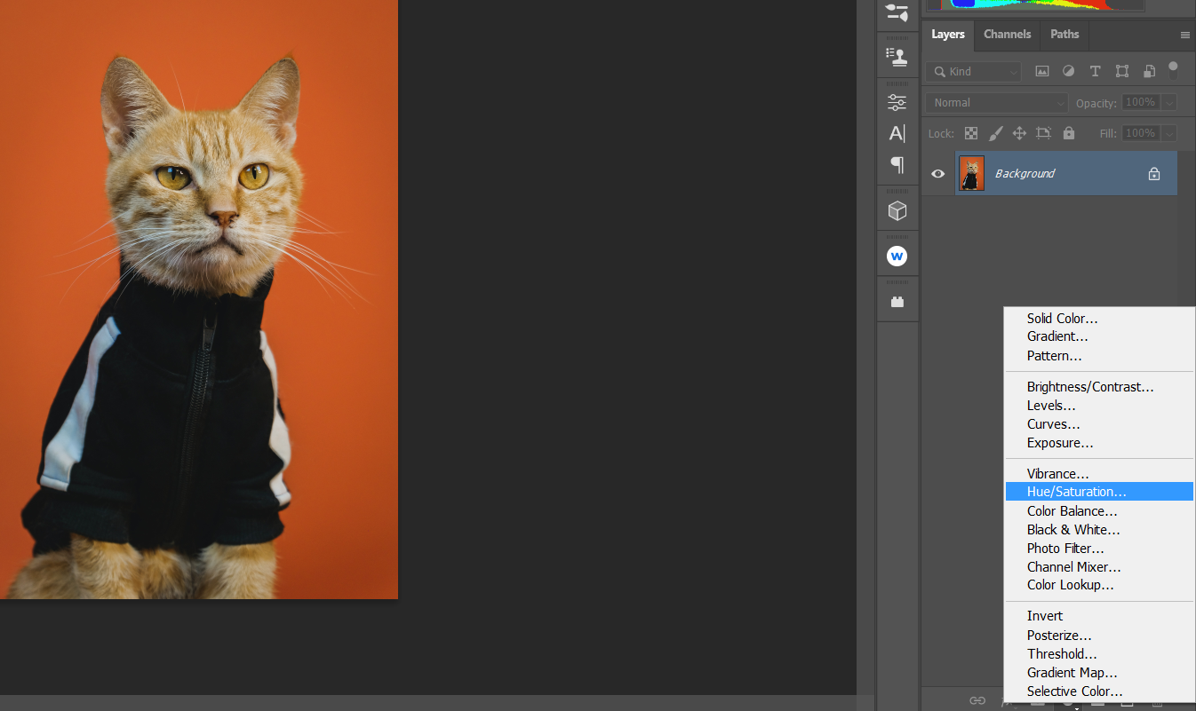 create a hue saturation layer cat