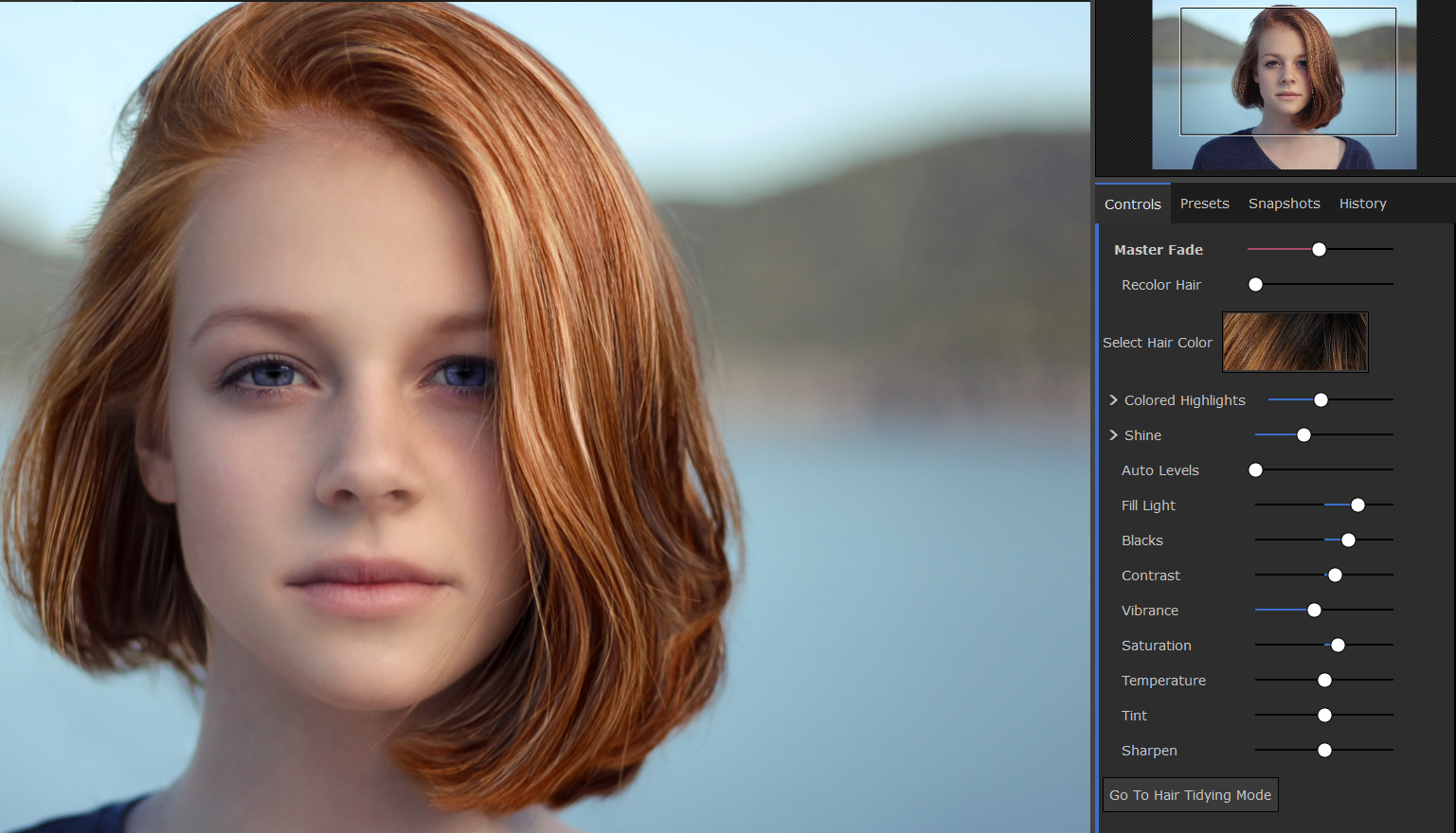 go to the hair tab and make selections on sliders