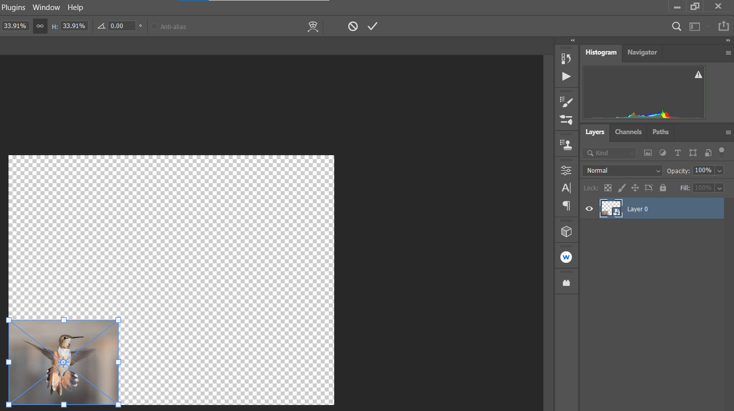 use handles to resize the layer