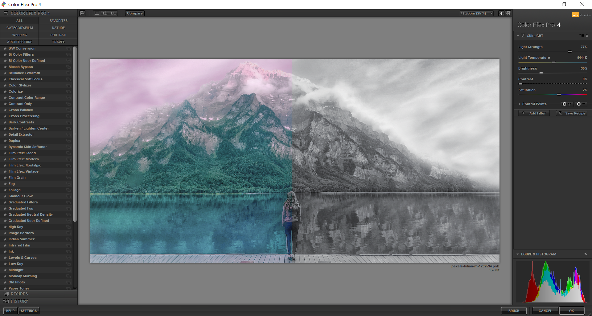 nik collection s photoshop plugins
