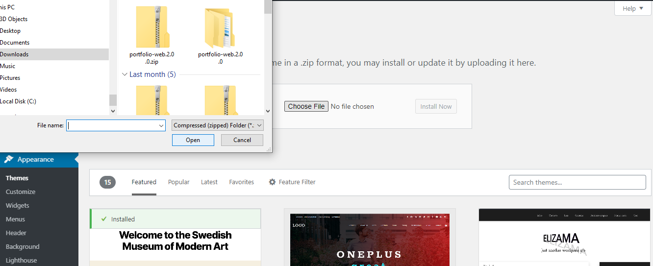 Screenshot installing a theme from outside wordpress dashboard