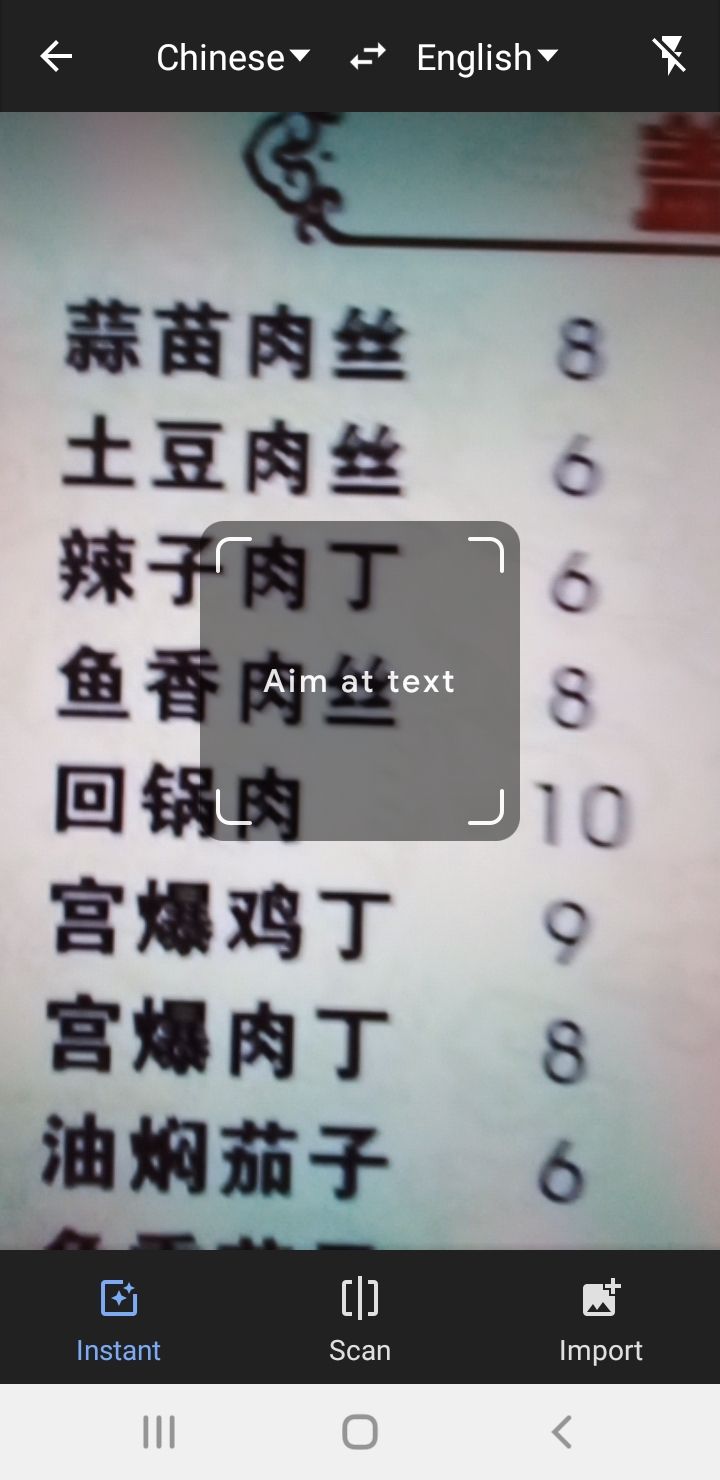 Google Translate app Chinese text on menu