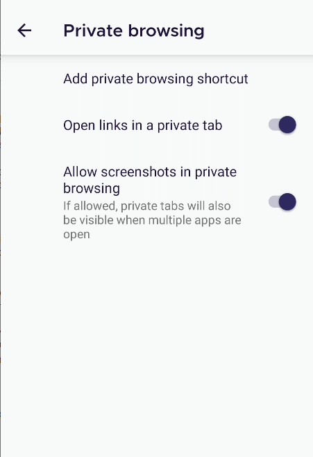 Firefox Private Settings
