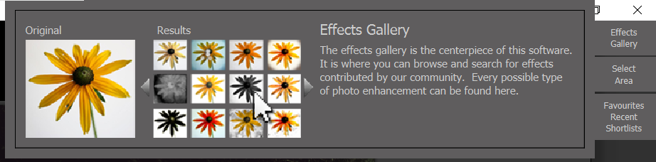 Once finished click Effects Gallery