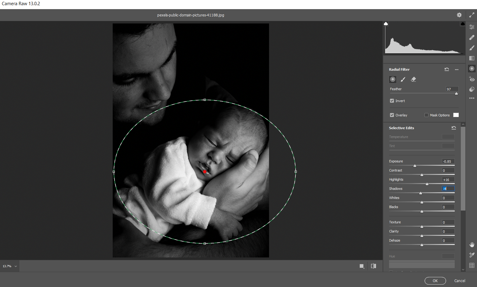 How to Use Adobe Camera Raw as a Smart Object in