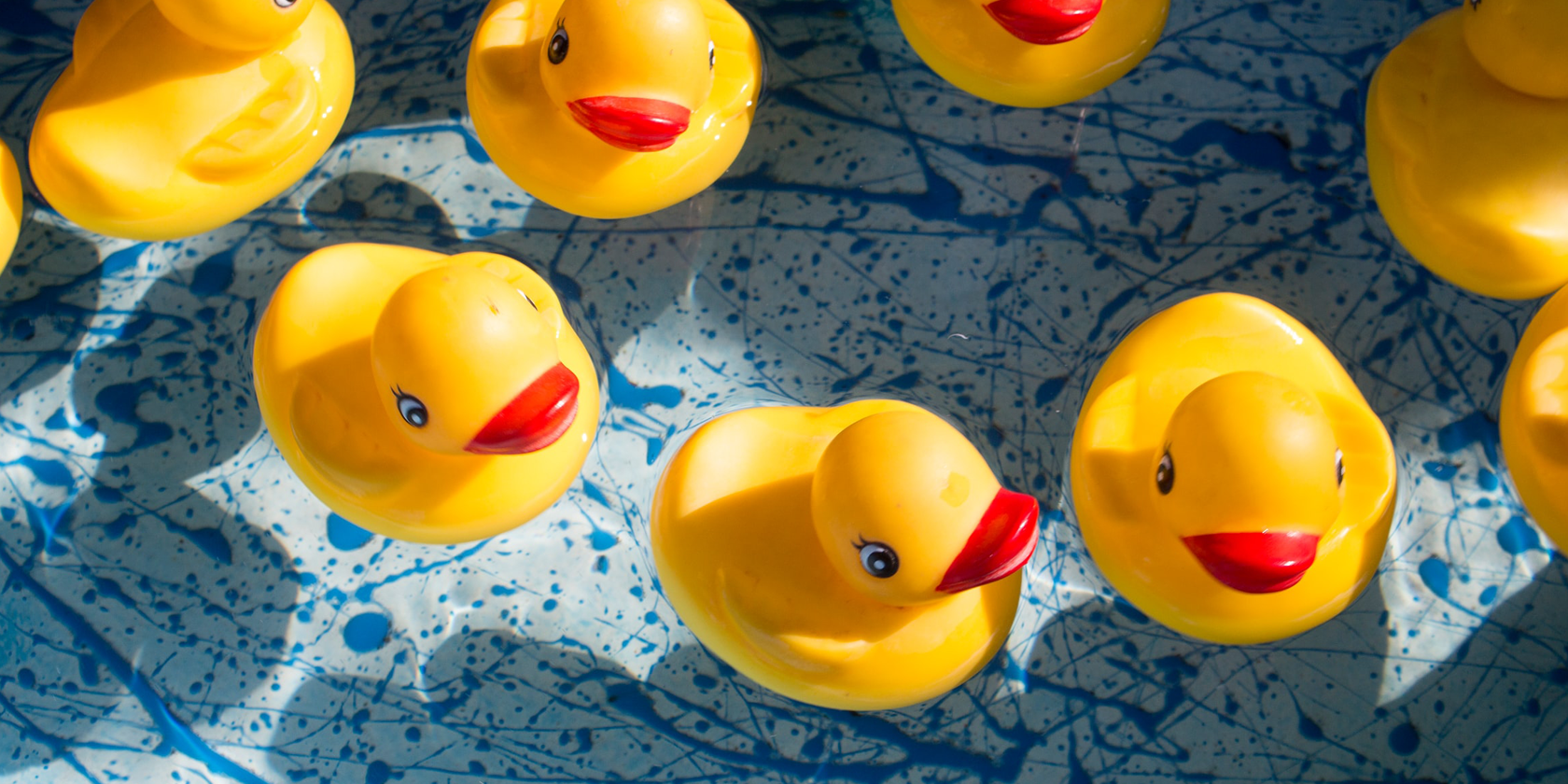 Seven yellow rubber ducks sitting in water