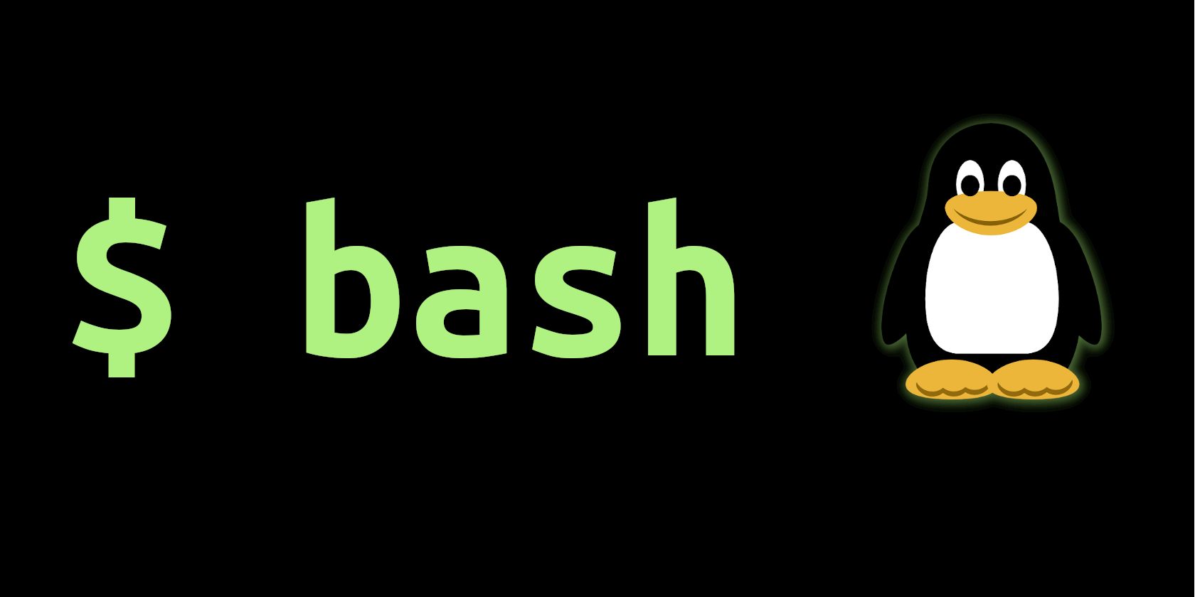 Bash Command Line in Linux