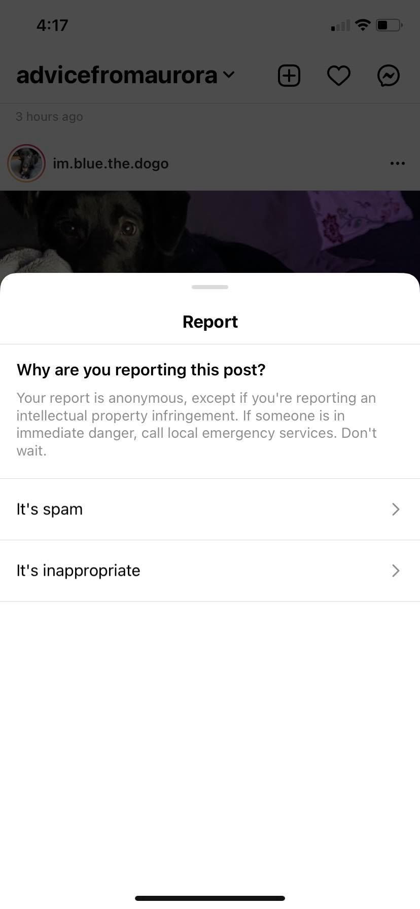 Screenshot of report Instagram prompt