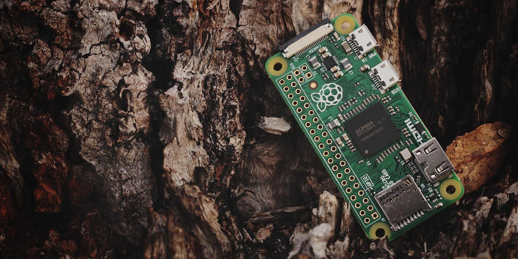 Raspberry Pi placed on a tree