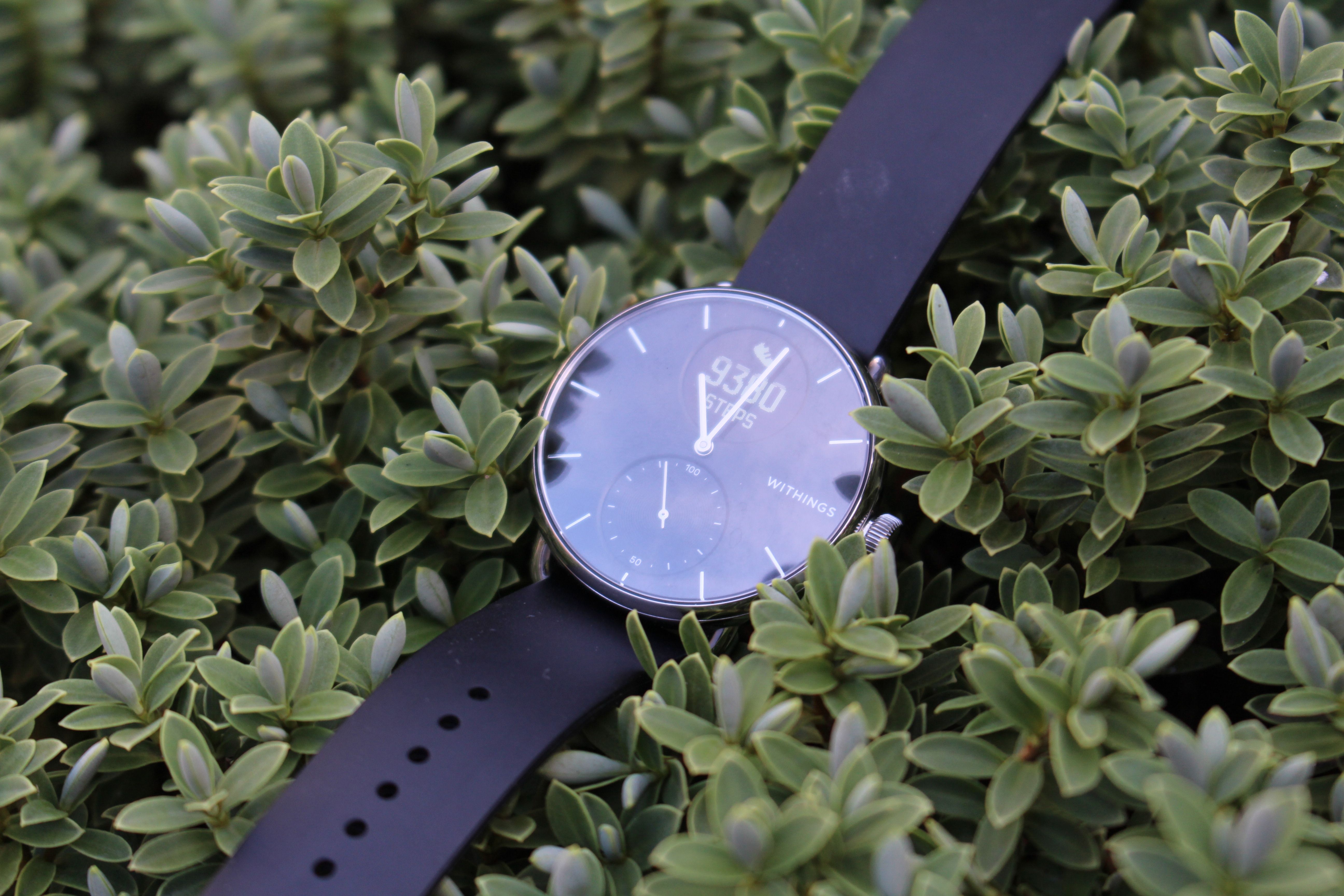 Withings ScanWatch closeup in a bush